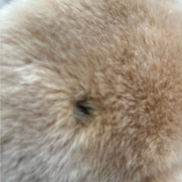 Sold!!! - Picture 3 of 12